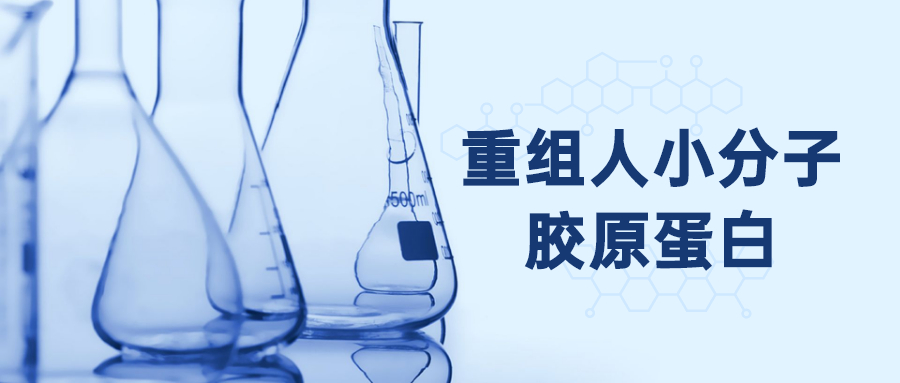 小身体 吸出大能量——重组人小分子胶原蛋白